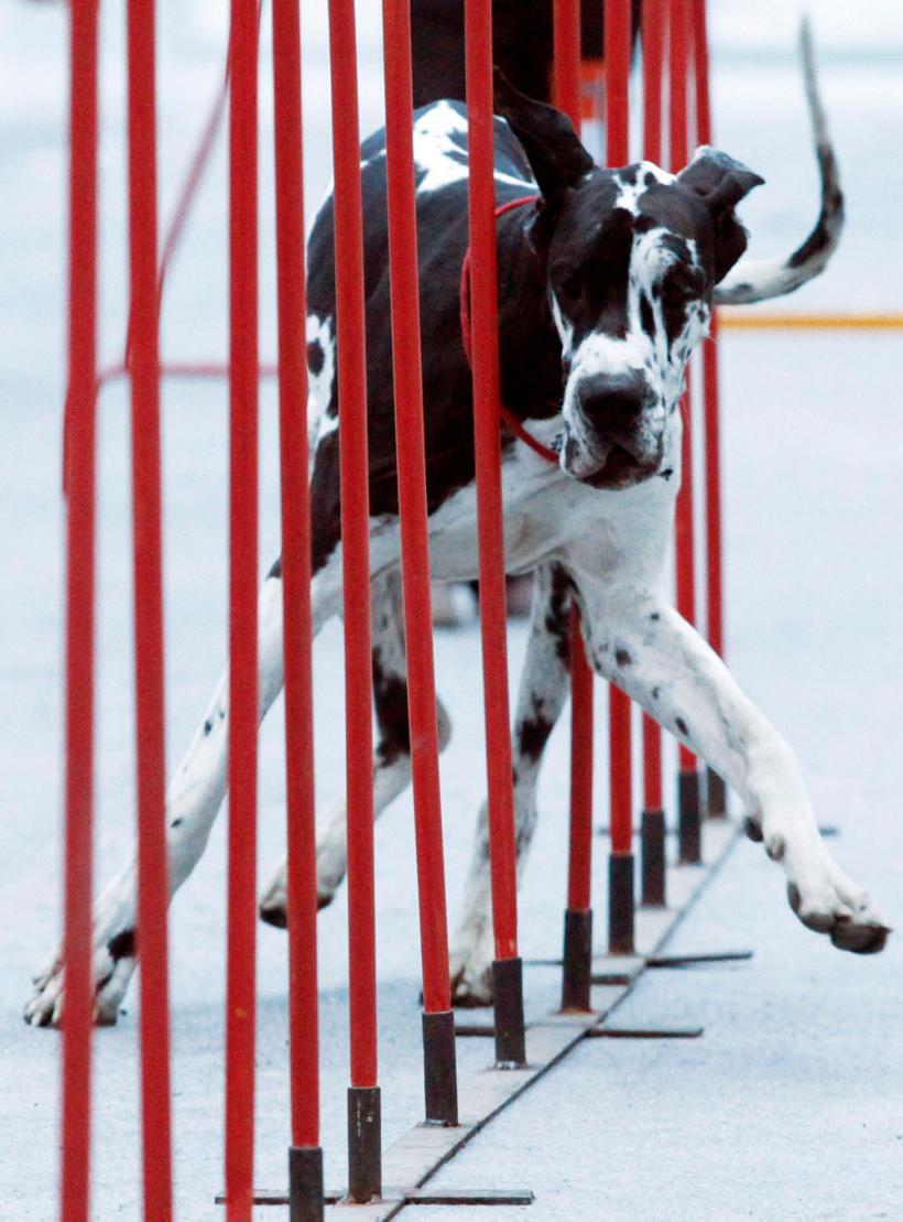 Suntem atat de diferiţi! Inca e bine 18411113