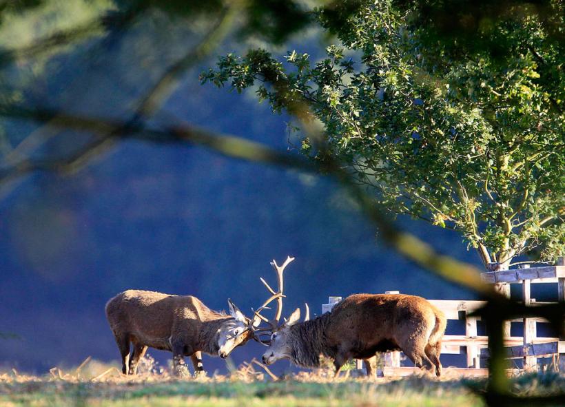 Suntem atat de diferiţi! Inca e bine 18411115