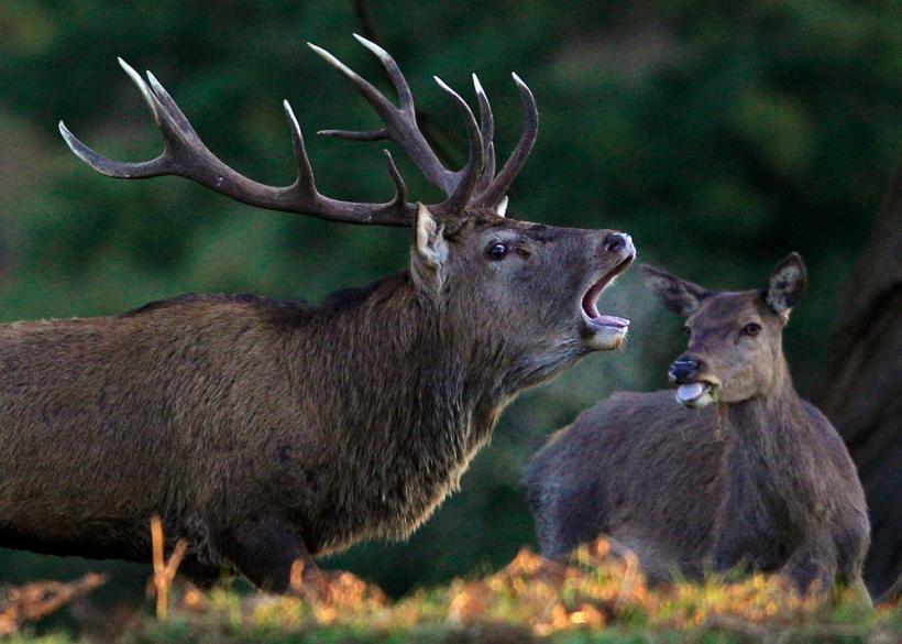 Suntem atat de diferiţi! Inca e bine 18411116