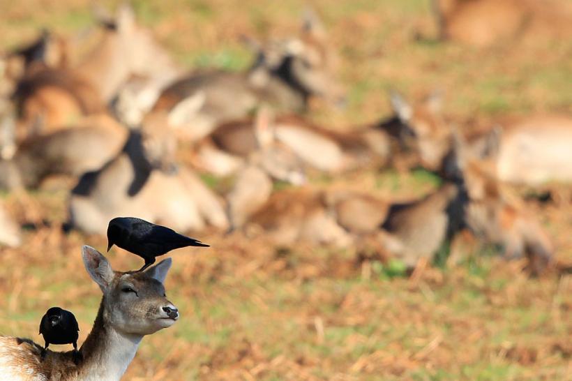 Suntem atat de diferiţi! Inca e bine 18411117