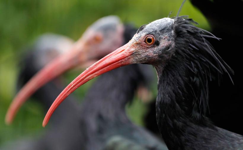 Suntem atat de diferiţi! Inca e bine 18411118