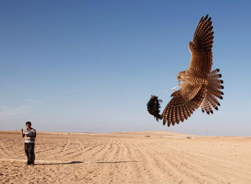 Suntem atat de diferiţi! Inca e bine 18411119