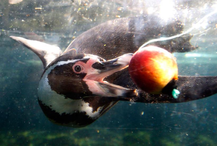 Suntem atat de diferiţi! Inca e bine 18411120