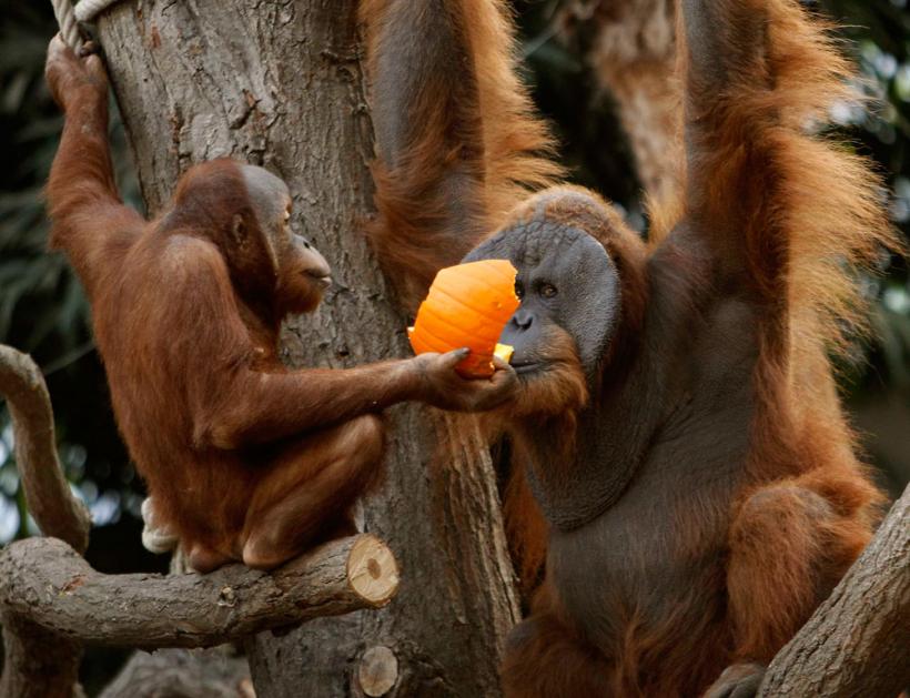 Suntem atat de diferiţi! Inca e bine 18411122