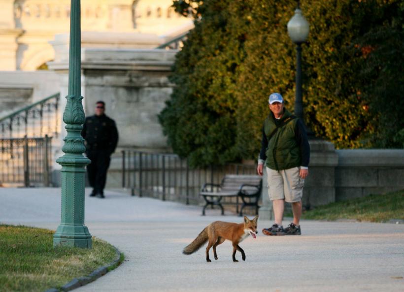 Suntem atat de diferiţi! Inca e bine 18411123