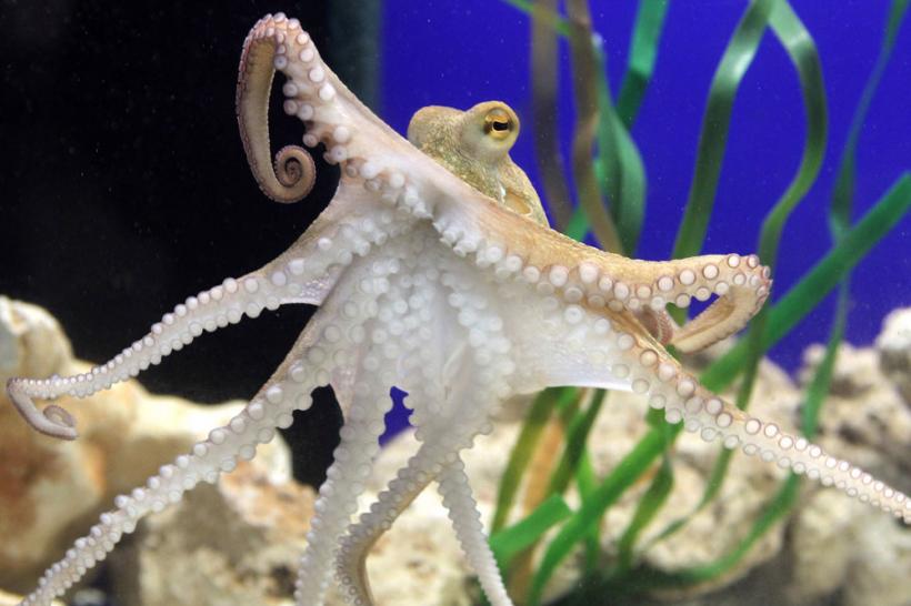 Suntem atat de diferiţi! Inca e bine 18411124