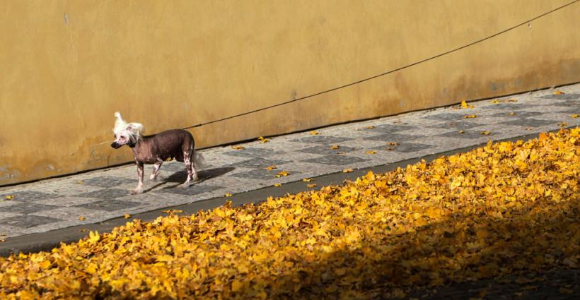 Suntem atat de diferiţi! Inca e bine 18411126