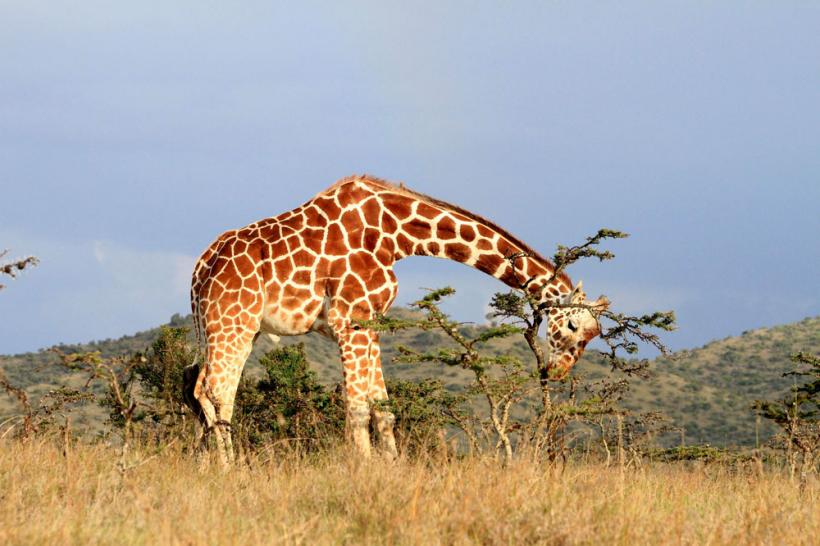 Suntem atat de diferiţi! Inca e bine 18411128