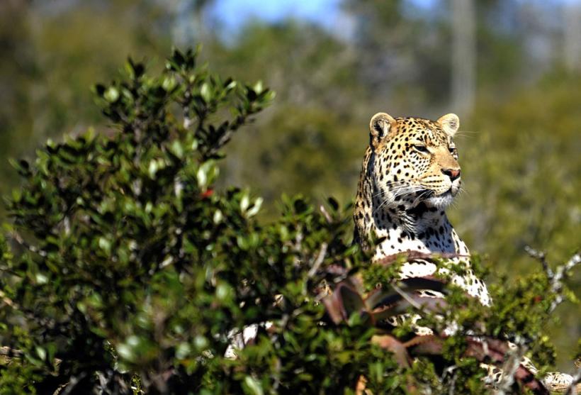 Suntem atat de diferiţi! Inca e bine 18411129