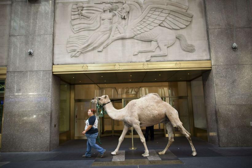 Suntem atat de diferiţi! Inca e bine 18411130