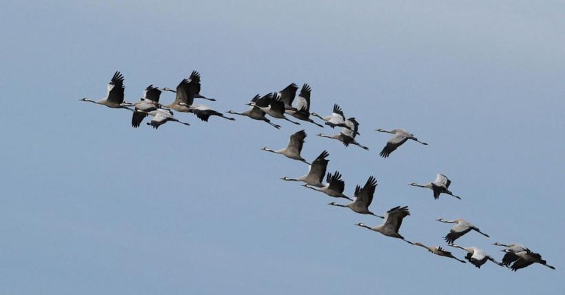 Suntem atat de diferiţi! Inca e bine 18411132