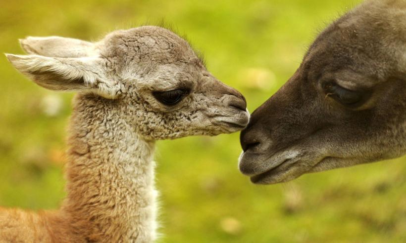 Suntem atat de diferiţi! Inca e bine 18411134