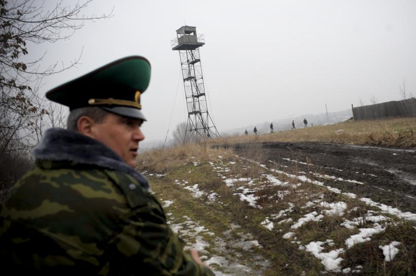 Prutul fără ghimpi 18411702