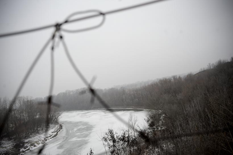 Prutul fără ghimpi 18411706