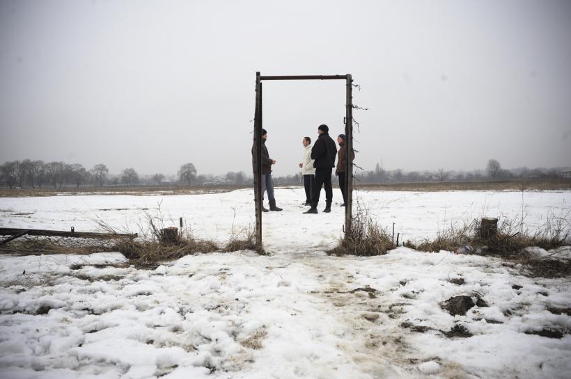 Prutul fără ghimpi 18411707