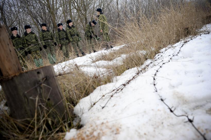 Prutul fără ghimpi 18411708