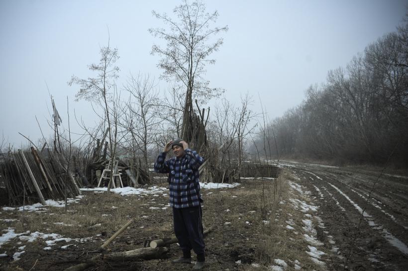 Prutul fără ghimpi 18411709