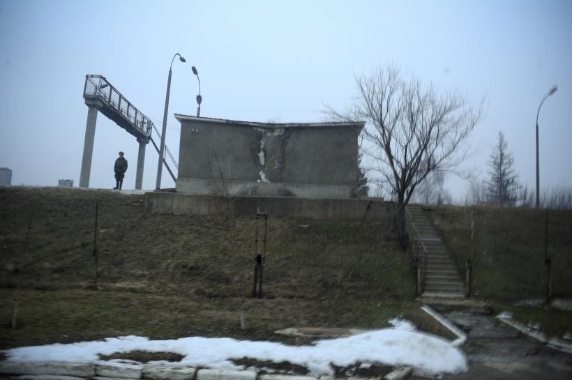 Prutul fără ghimpi 18411711