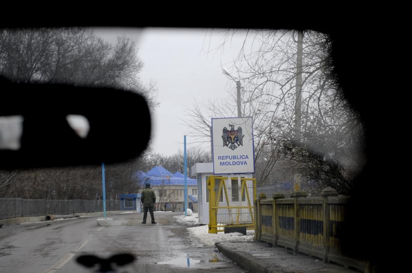 Prutul fără ghimpi 18411712