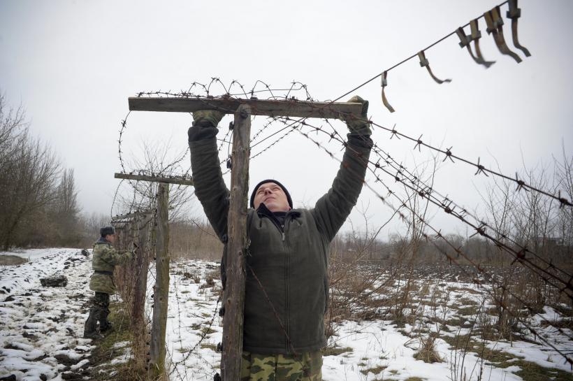 Prutul fără ghimpi 18411713