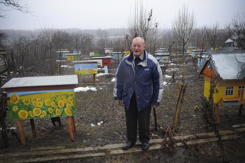 Prutul fără ghimpi 18411715