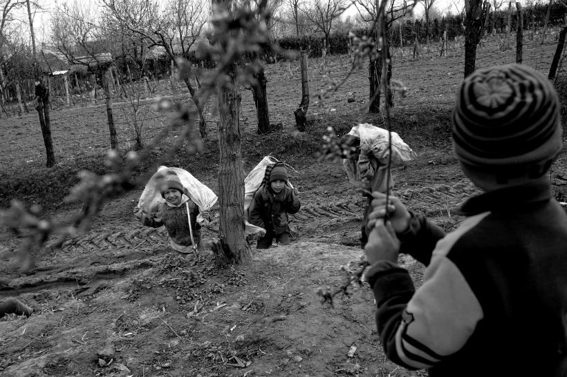 Răzvan. Glodenii gândului. 18412439