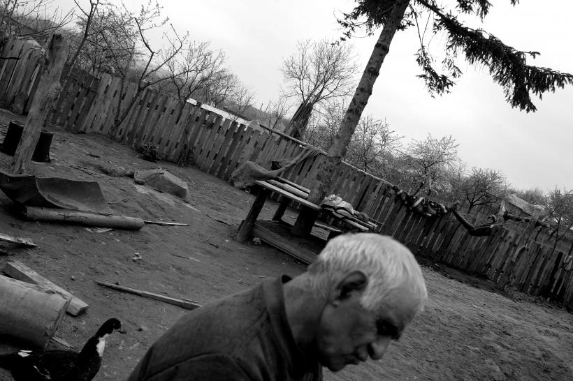 Răzvan. Glodenii gândului. 18412443