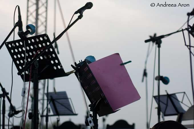 "Cântecele din Cimitirul Vesel” 18412727