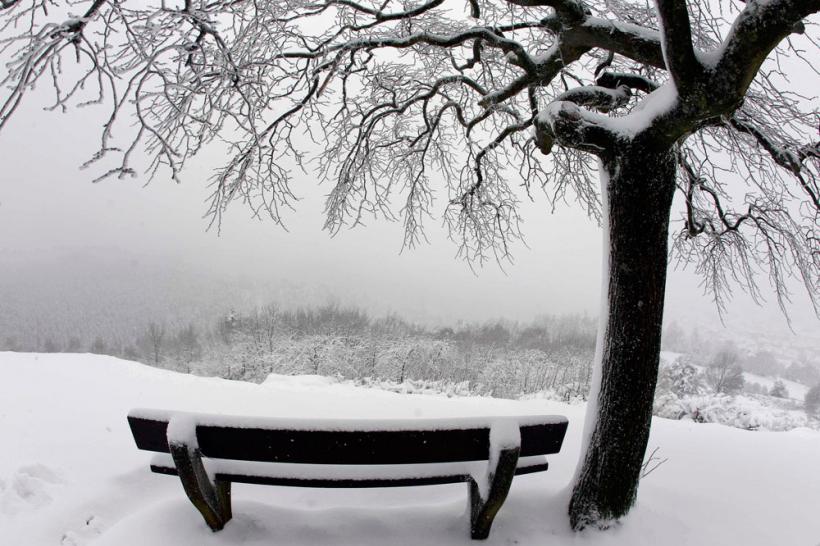 Iarna pe ulita...Europa 18412788