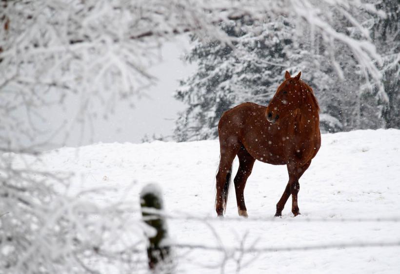 Iarna pe ulita...Europa 18412789