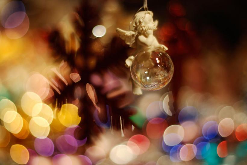 Pregatiri pentru sarbatorirea  Craciunului 18412105