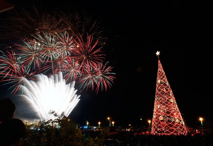 Pregatiri pentru sarbatorirea  Craciunului 18413808