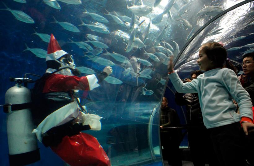 Aşteptându-l pe Moş Crăciun 18415754