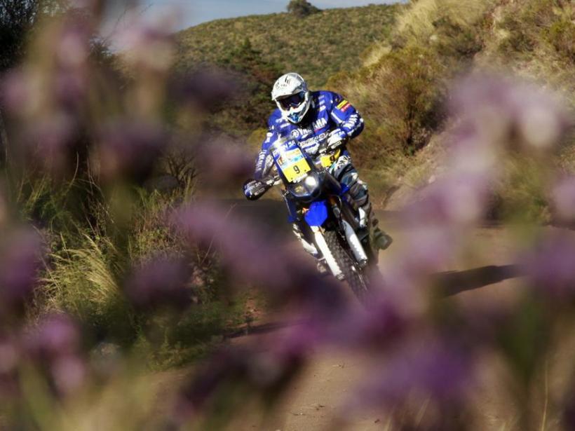 Raliul Dakar 2011 în imagini 18416555
