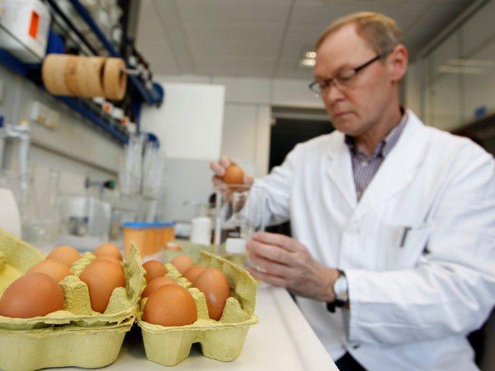 Ouăle germane contaminate cu dioxină au un traseu confuz