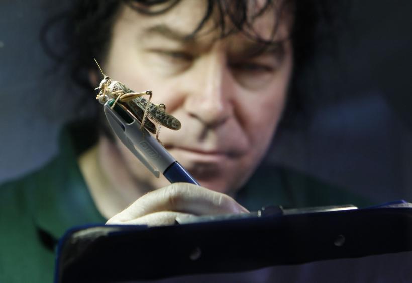 Saptamana in imagini: anul pleaca in viteza 18416979