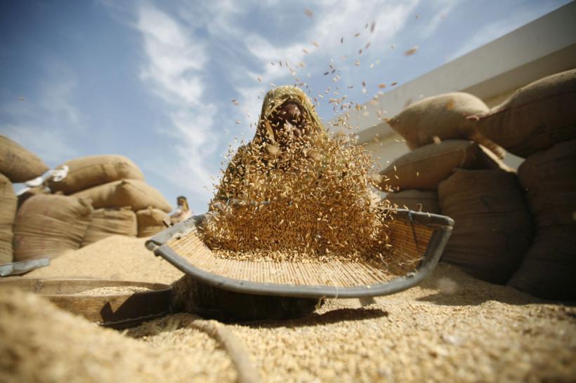 Saptamana in imagini: anul pleaca in viteza 18417011