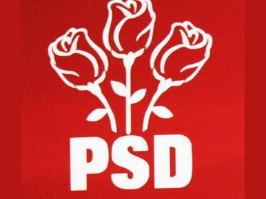 Condiţie PSD pentru alianţa cu ACD: Sigla să conţină cei trei trandafiri