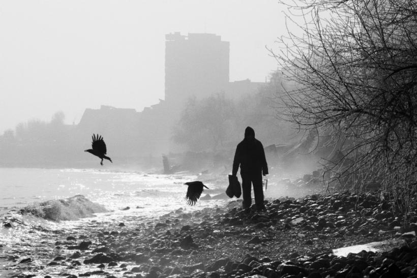 Săptămâna în imagini: ha, ha, ha...haz de necaz 18418468