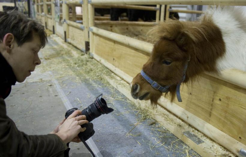 Săptămâna în imagini: ha, ha, ha...haz de necaz 18418487