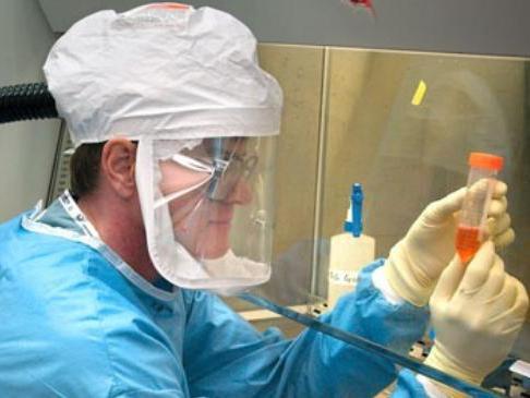 Virusul gripei porcine, depistat la un copil de patru ani din Călăraşi