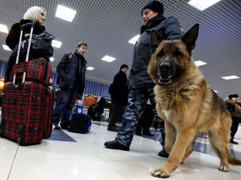 Zece suspecţi în cazul atentatului de pe aeroportul Domodedovo