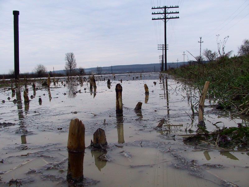 Inundatiile care "n-au fost" (foto ziarulancheta.ro) 18419615