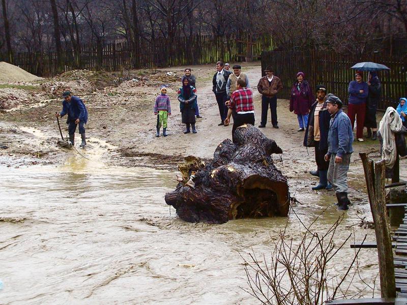 Inundatiile care "n-au fost" (foto ziarulancheta.ro) 18419639