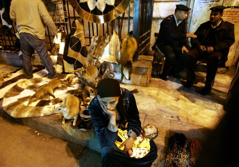 Cealaltă faţă a Egiptului 18419904