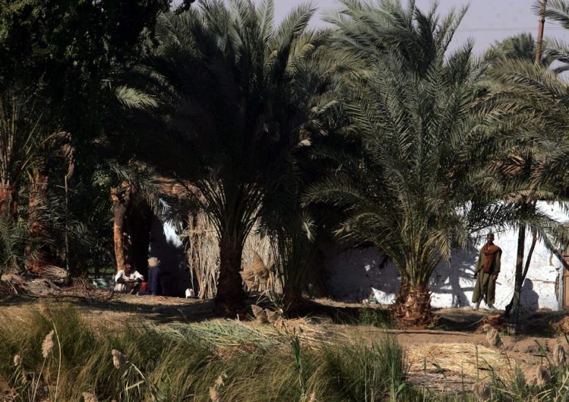 Cealaltă faţă a Egiptului 18419910