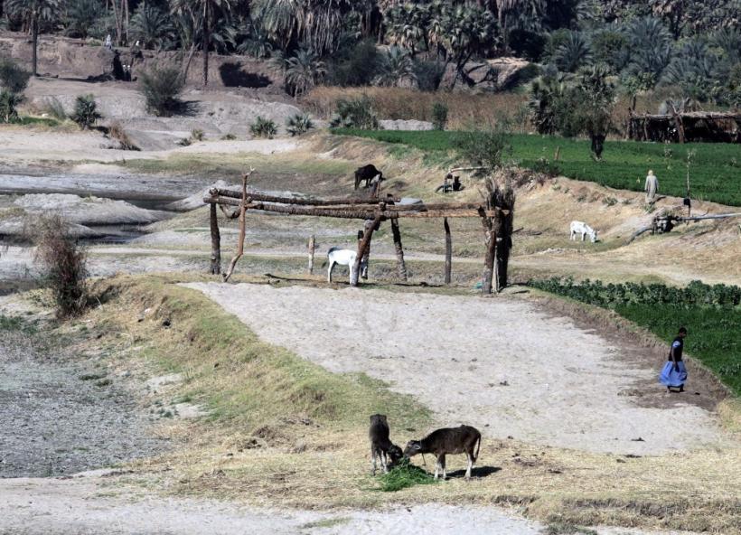 Cealaltă faţă a Egiptului 18419911