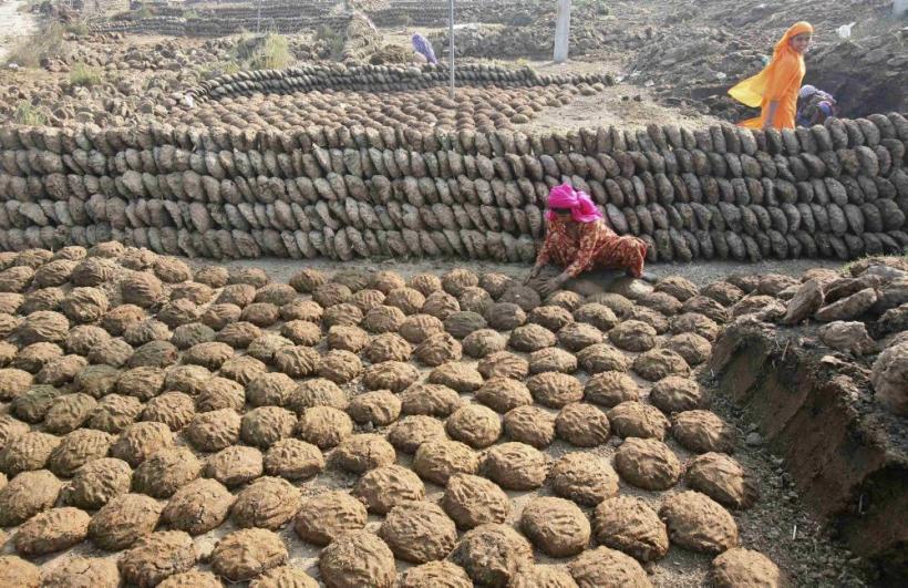 Săptămâna în imagini: Teroare în oraş 18420249