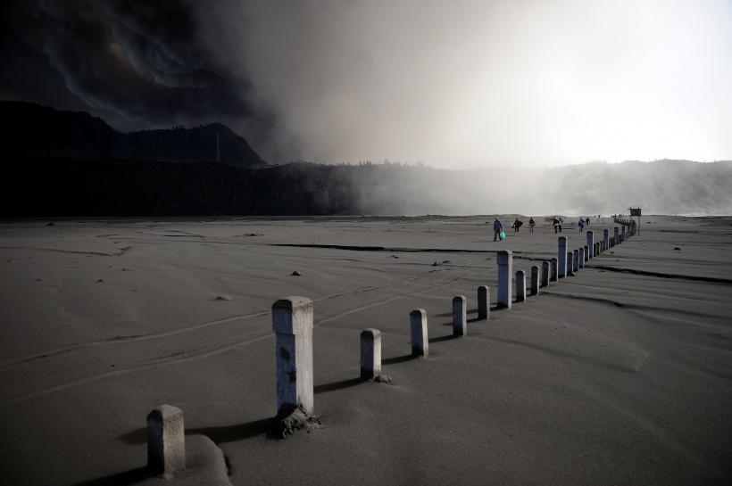 World Press Photo 2011 18421014