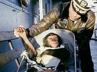 Ham, primul cimpanzeu care a ajuns în spaţiu!